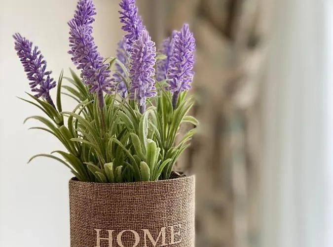 Aparthotel Millennium Ii Family Paradise *